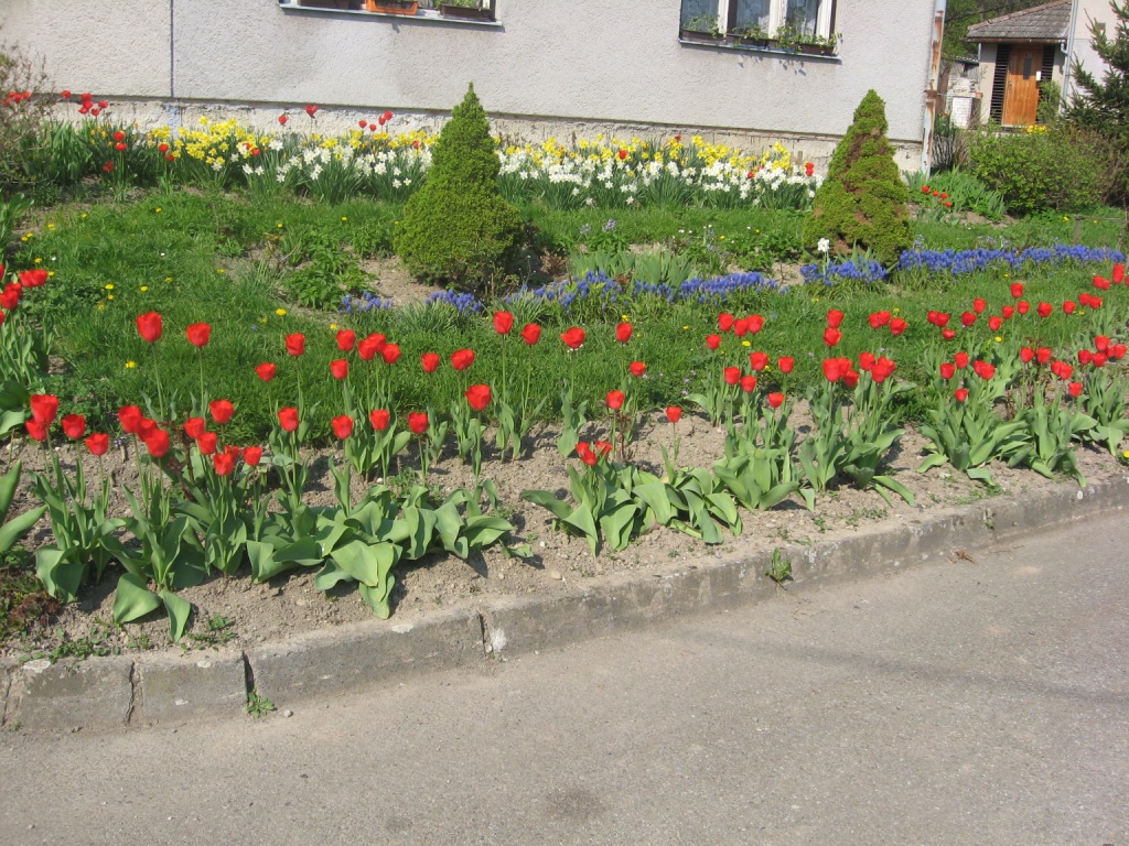A31
